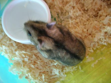 Manu ^^